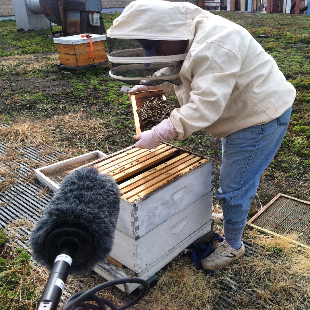 Beekeeper's Keeper