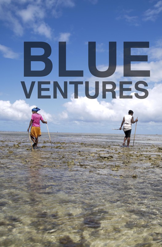 blue_ventures